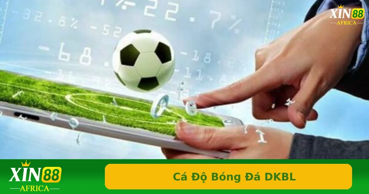 Cá Độ Bóng Đá DKBL Là Gì? Hình Thức Chơi Ẩn Danh Ít Ai Biết 3 Giải thích một vài thuật ngữ DKBL trong cá độ bóng đá