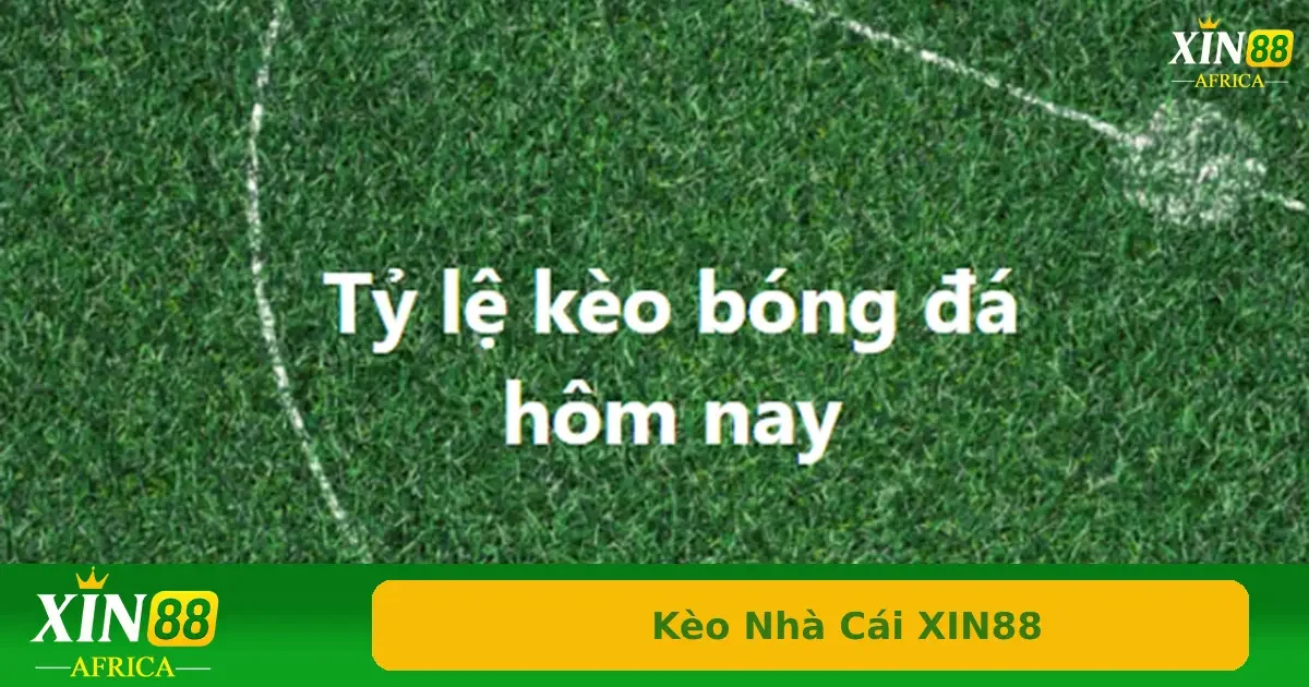 Kèo Nhà Cái XIN88 – Cập Nhật Tỷ Lệ Kèo Chuẩn Xác Mỗi Ngày 4 Kèo tỷ số, kèo rung, kèo phạt góc là một vài loại kèo cũng khá được ưa chuộng