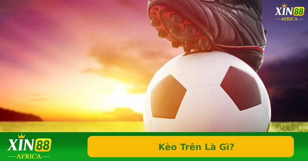 Kèo Trên Là Gì? Cách Phân Biệt Kèo Trên – Kèo Dưới Trong Cá Độ Bóng Đá 3 Những lưu ý khi đặt cược theo kèo trên tại nhà cái Xin88