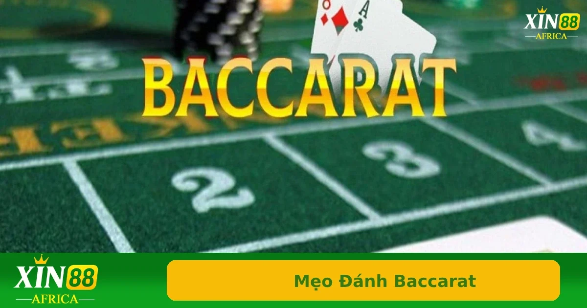 Chiến thuật cược gấp thếp – phá bẫy nhà cái trong bộ môn Baccarat